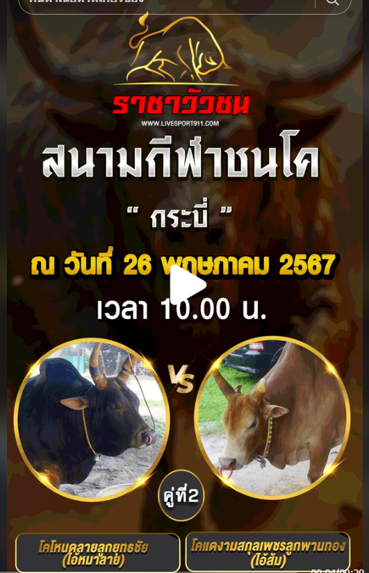 โปรแกรมวัวชน26-5-67