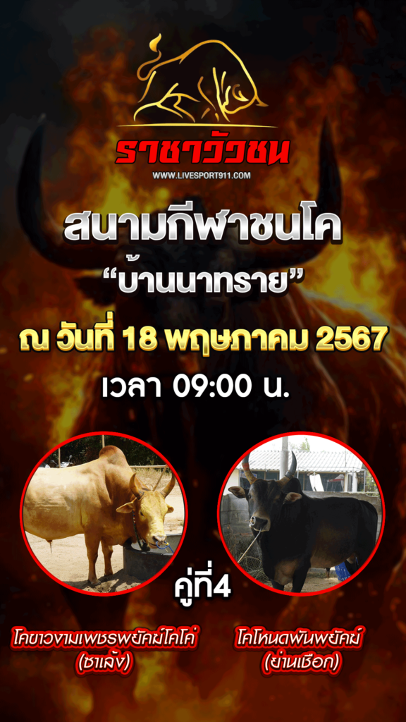 โปรแกรมวัวชน 18-5-67