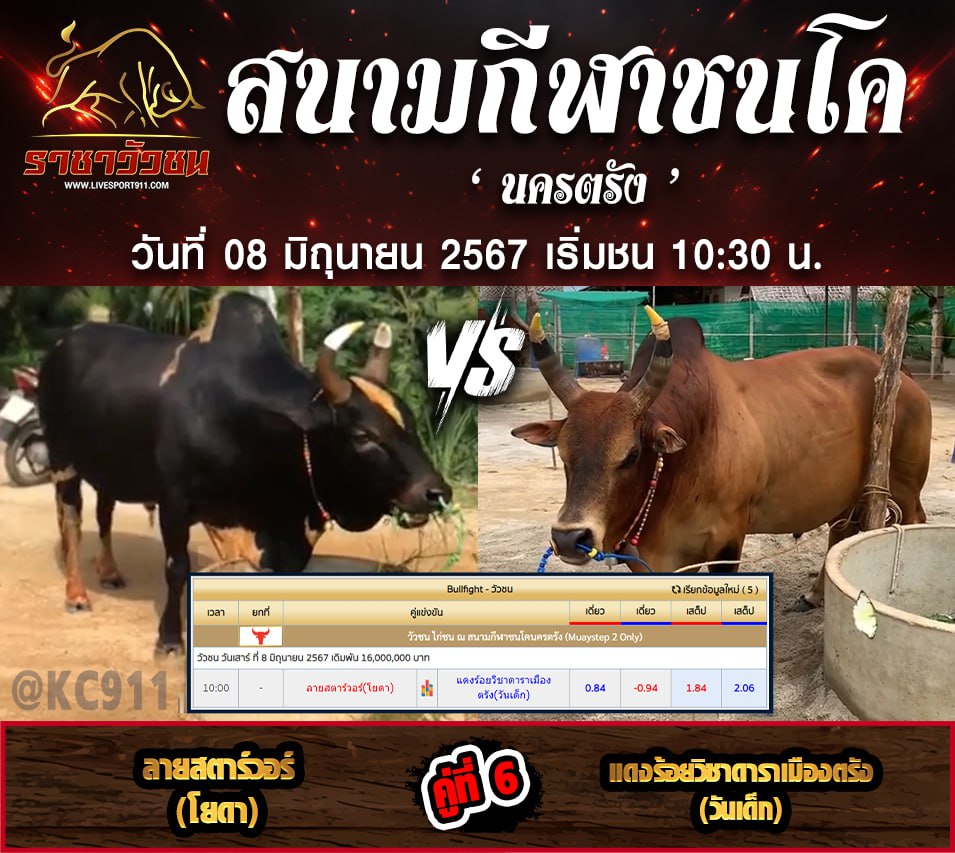 โปรแกรมวัวชนคู่หยุดโลก08-6-67