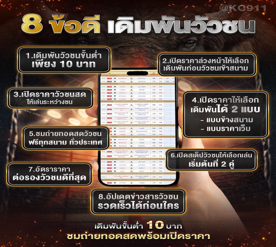 วัวชนออนไลน์16-6-67