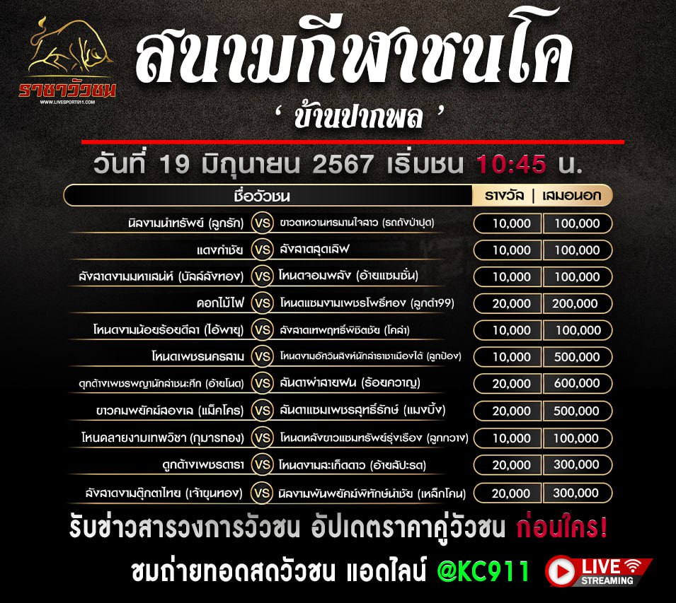 โปรแกรมวัวชน17-6-67