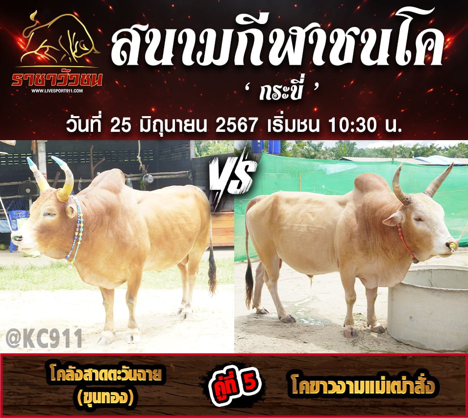 โปรแกรมวัวชน 25-6-67