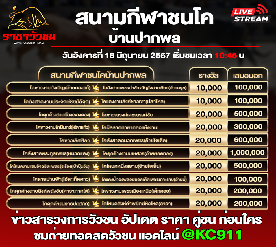 โปรแกรมวัวชน16-6-67