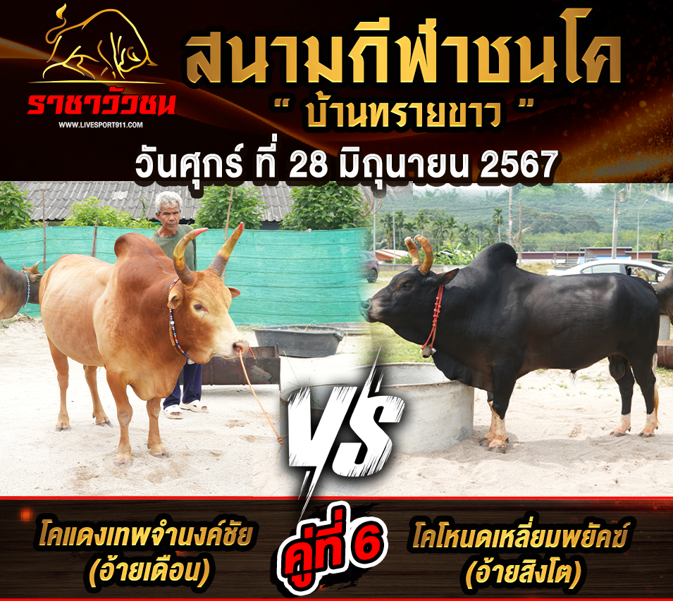 โปรแกรมวัวชน 28-6-67