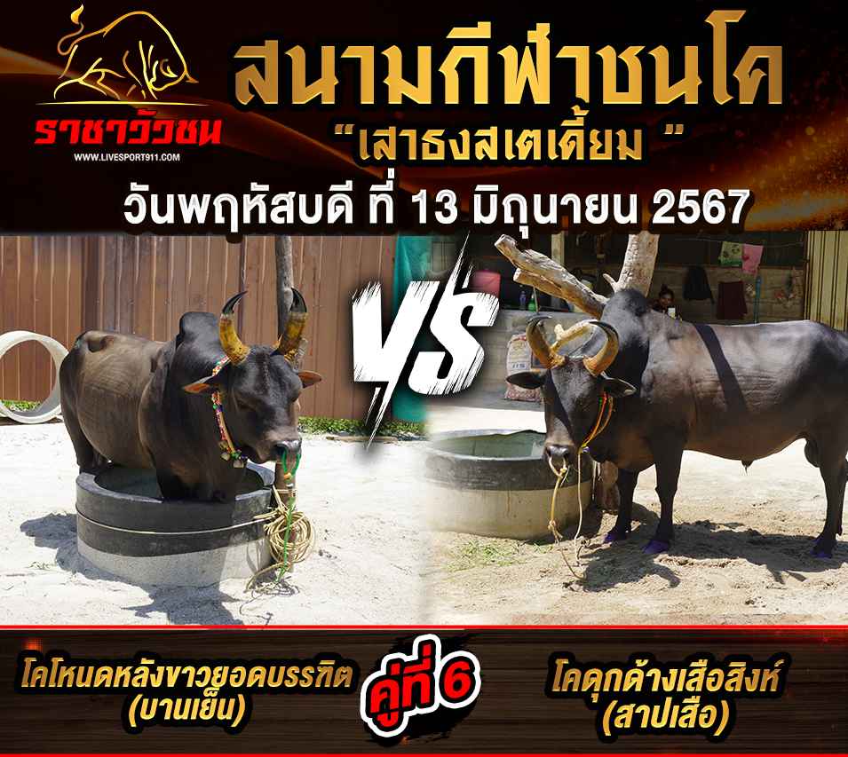 โปรแกรมวัวชน13-6-67