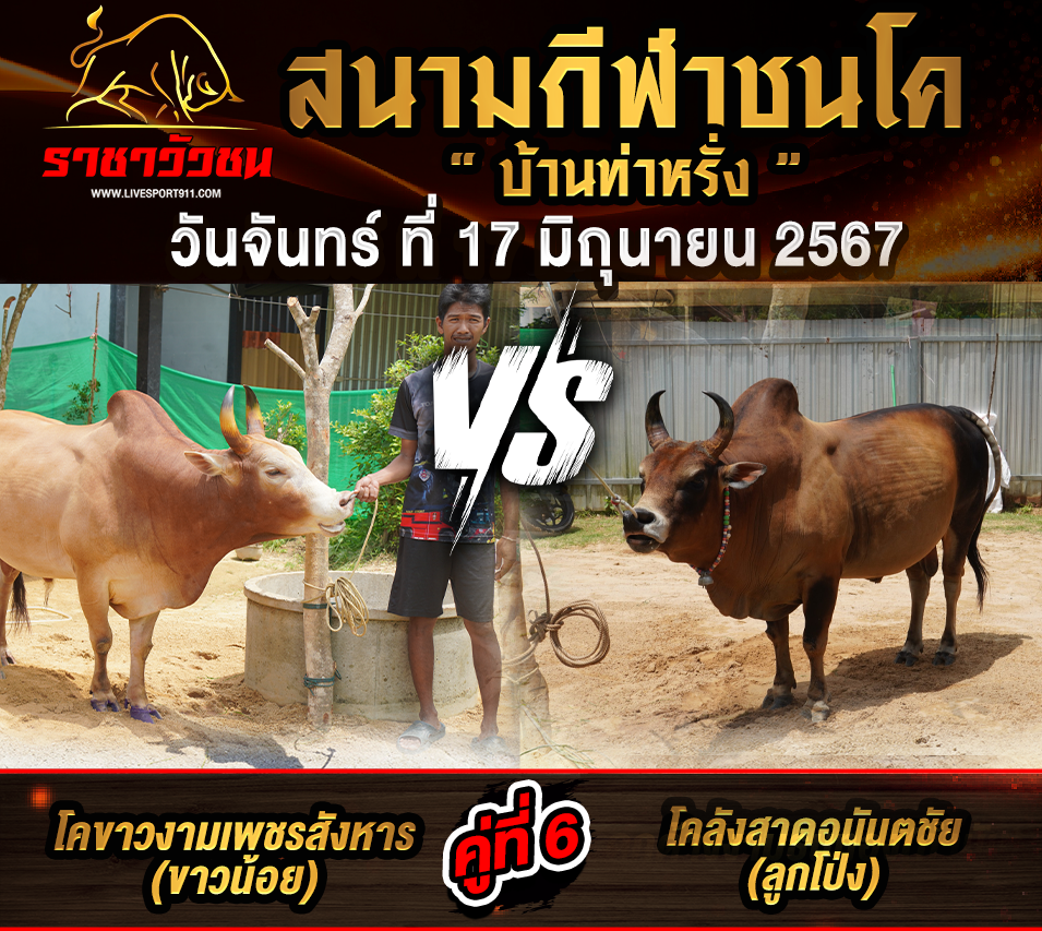 โปรแกรมวัวชน17-6-67