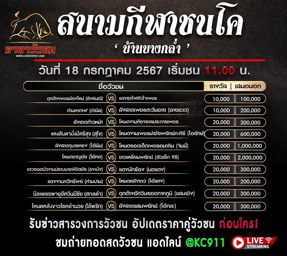 โปรแกรมวัวชน 18-7-2567