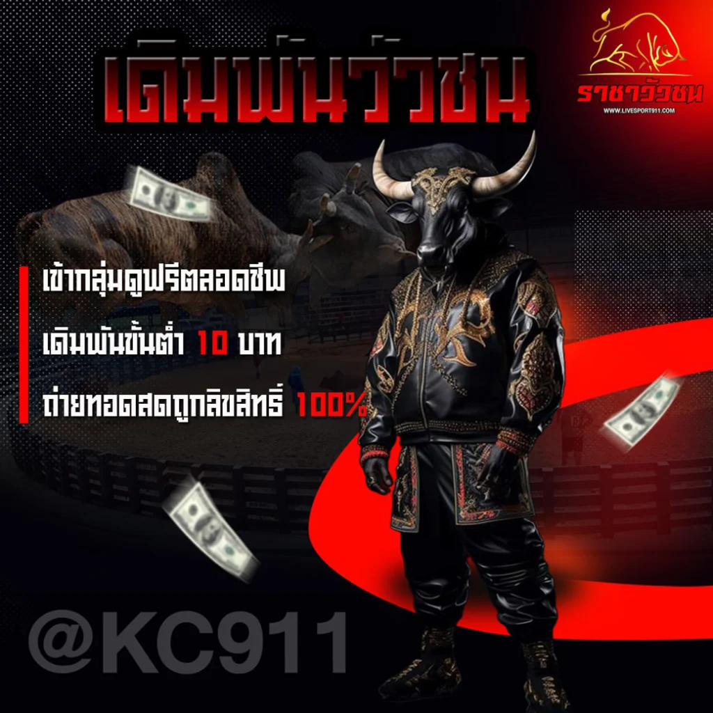 วัวชนออนไลน์ 16-7-2567