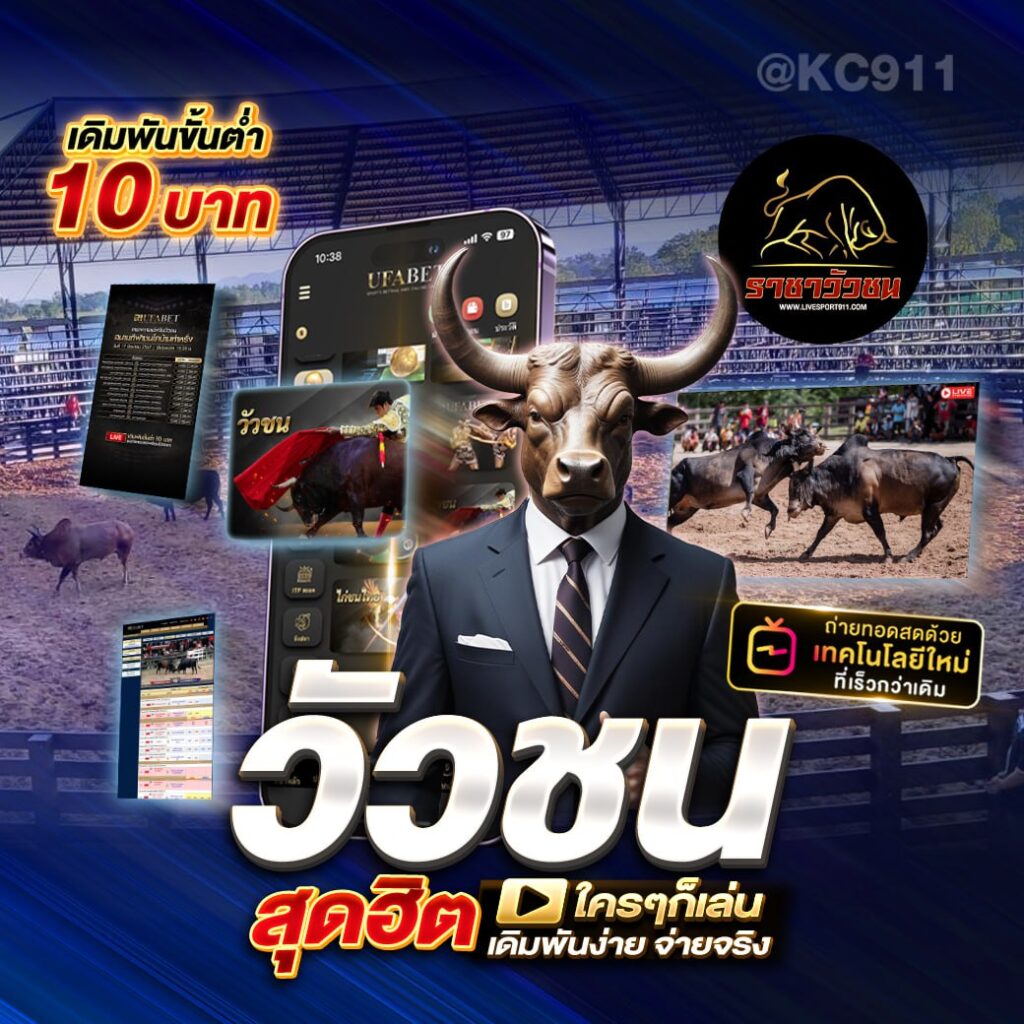 วัวชนออนไลน์ 11-7-2567