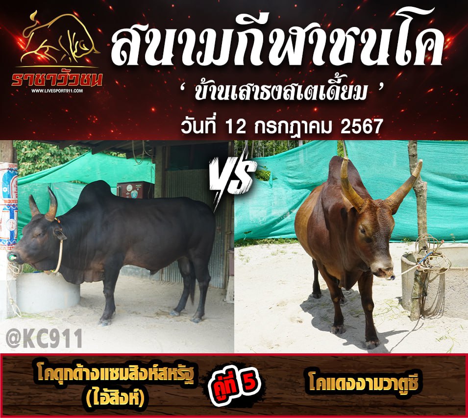 โปรแกรมวัวชน 12-7-2567