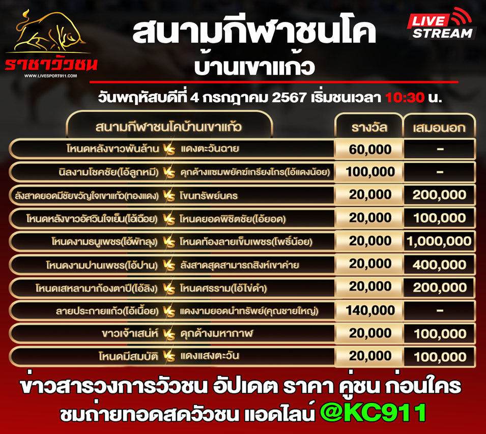 โปรแกรมวัวชน 4-7-2567