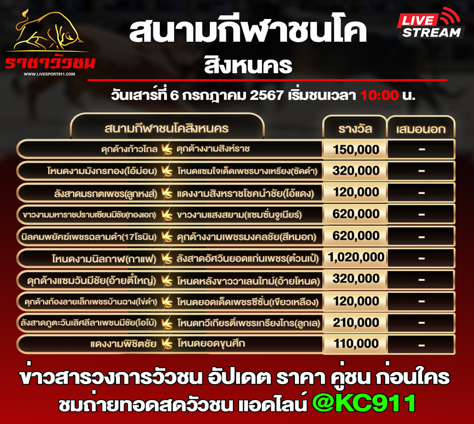  โปรแกรมวัวชน 6-7-2567