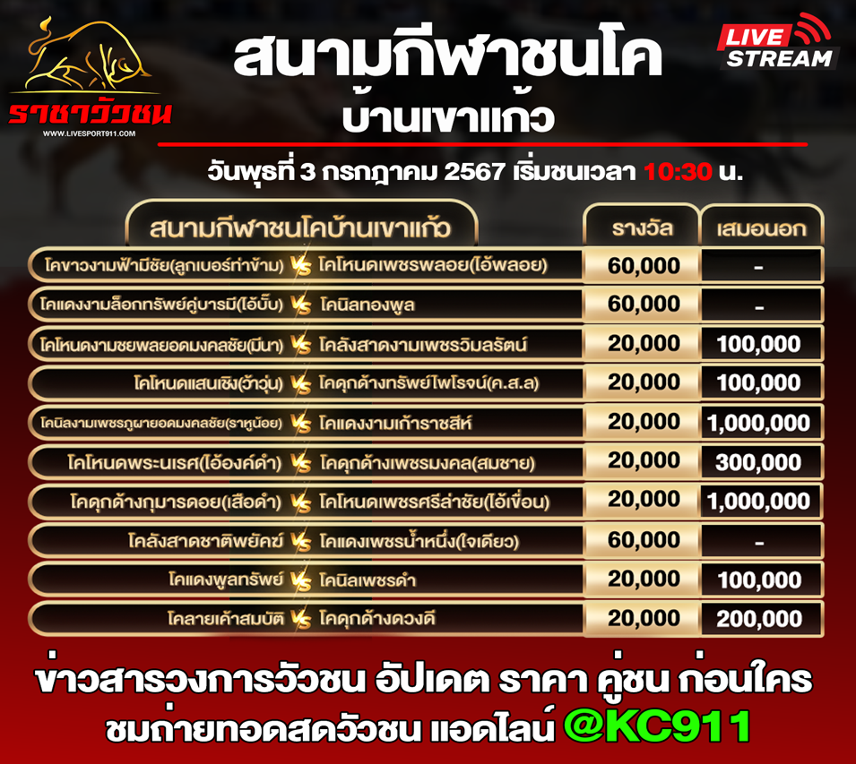 โปรแกรมวัวชน 3-7-2567