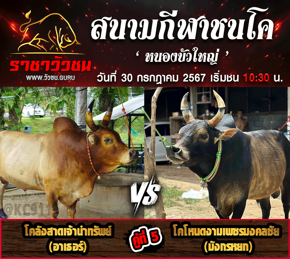 โปรแกรมวัวชน 30-7-2567