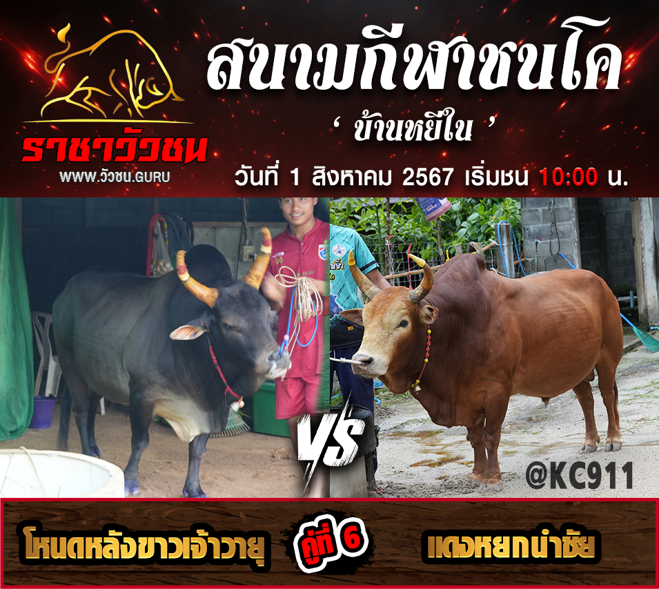 โปรแกรมวัวชน 1-8-2567