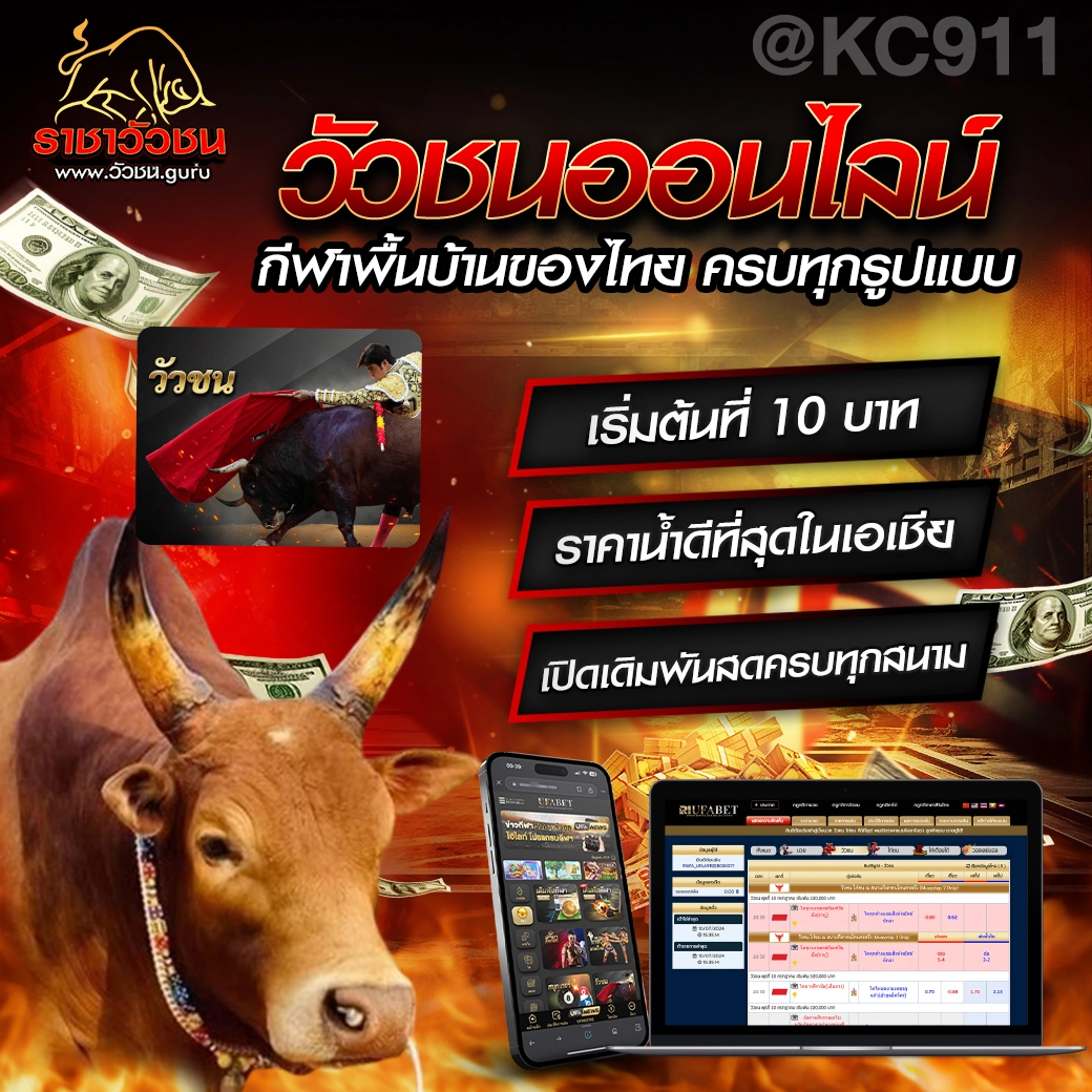 วัวชนออนไลน์ 17-7-2567