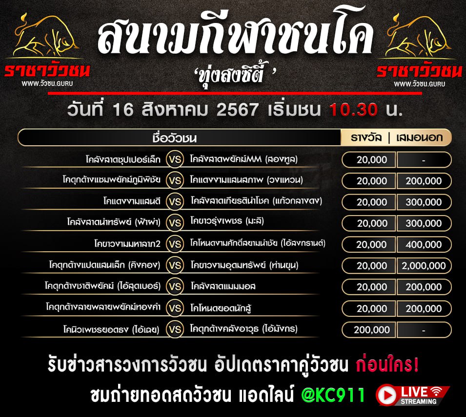 โปรแกรมวัวชน 16-8-2567