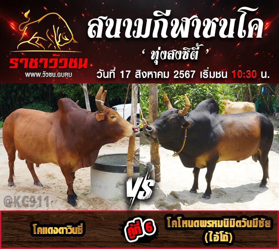 โปรแกรมวัวชน 17-8-2567