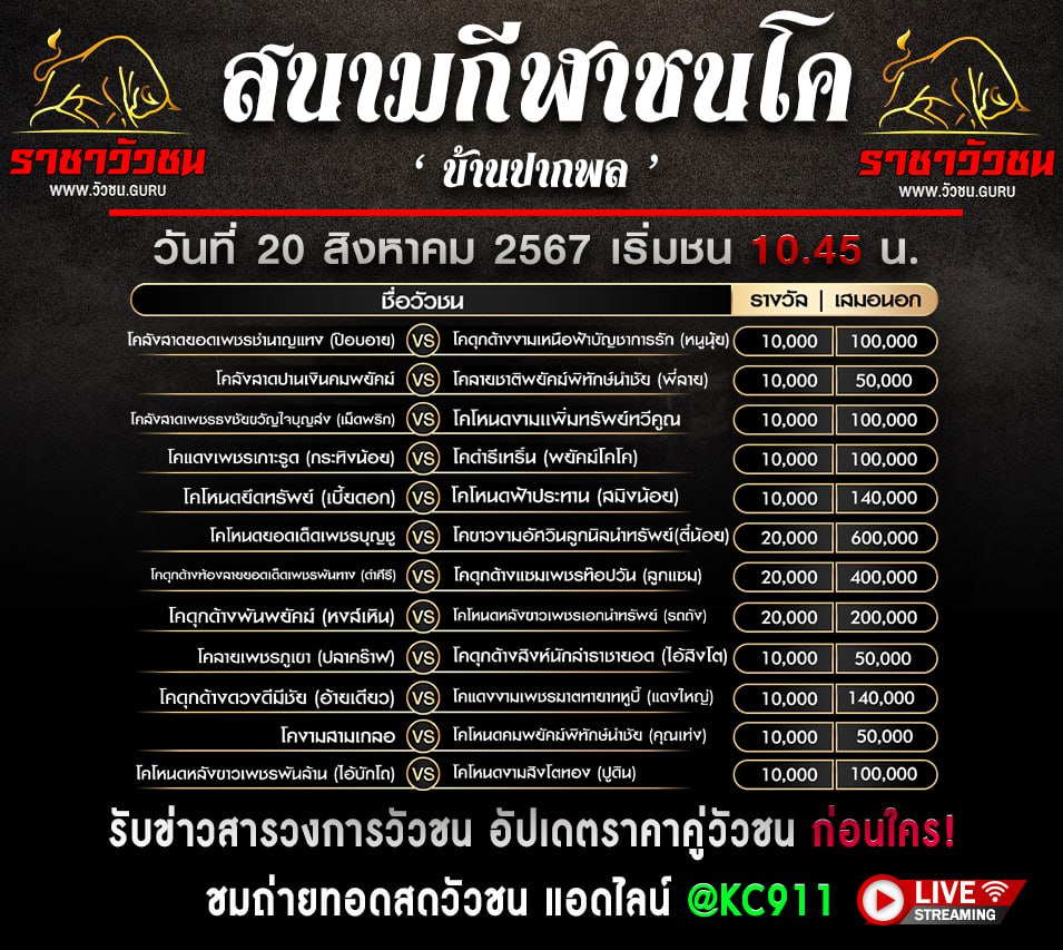 โปรแกรมวัวชน 20-8-2567