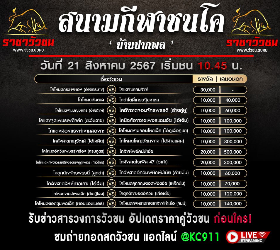 โปรแกรมวัวชน 21-8-2567