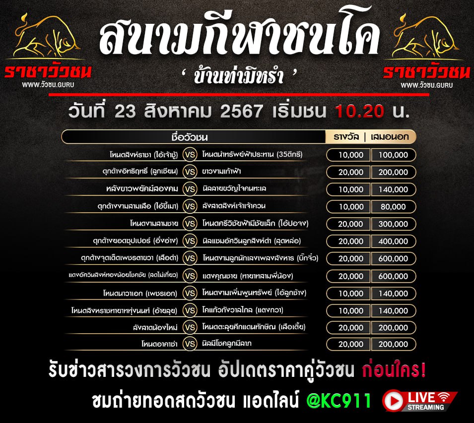 โปรแกรมวัวชน 23-8-2567