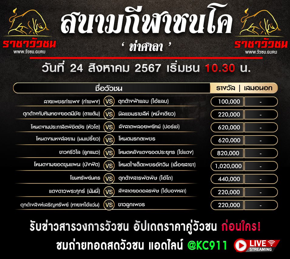 โปรแกรมวัวชน 23-8-2567