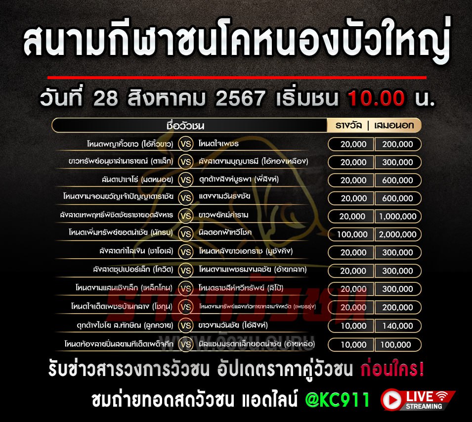 โปรแกรมวัวชน 28-8-2567