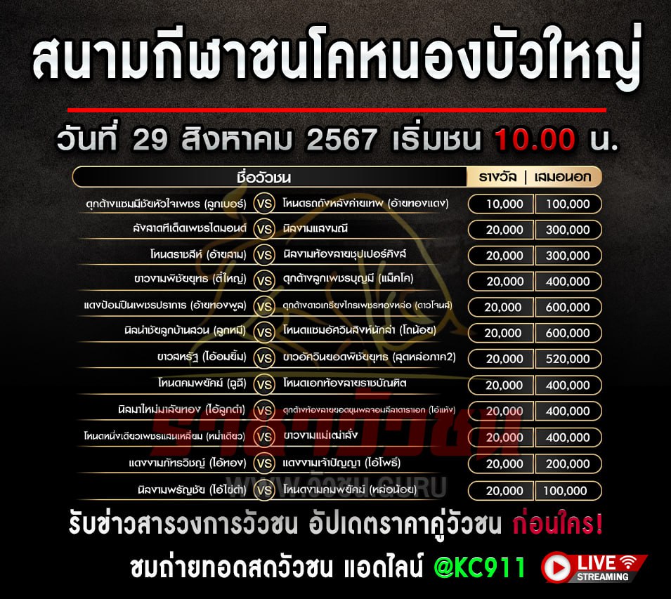 โปรแกรมวัวชน 29-8-2567