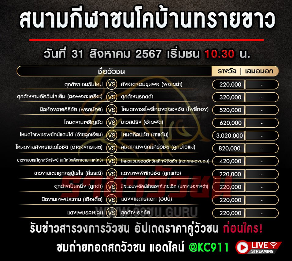 โปรแกรมวัวชน 31-8-2567