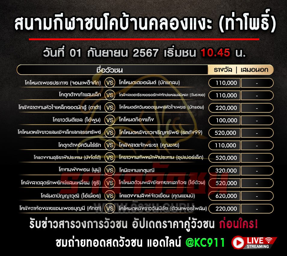 โปรแกรมวัวชน 1-9-2567