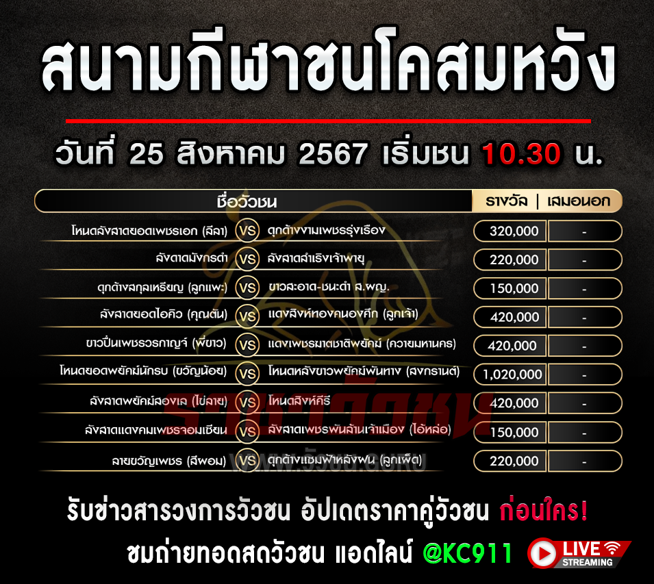 โปรแกรมวัวชน 25-8-2567