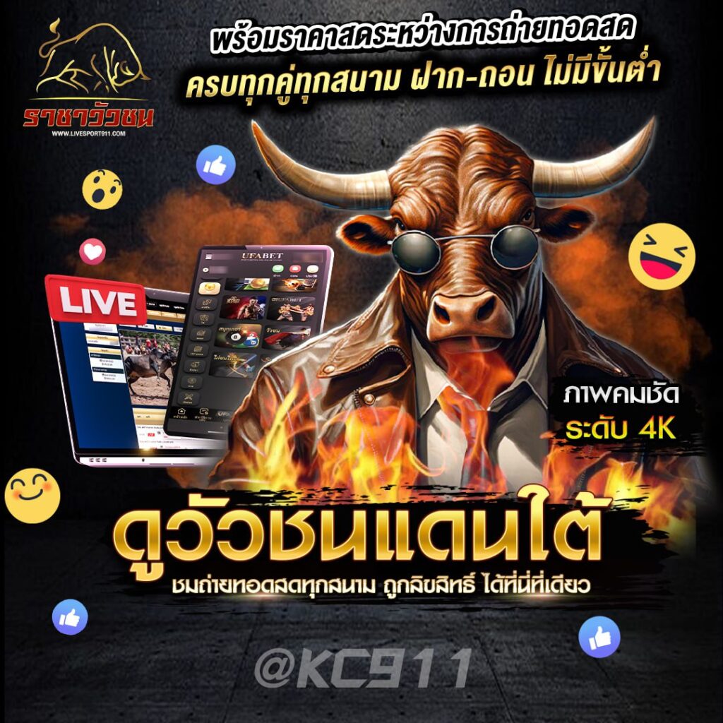 วัวชนออนไลน์ 7-8-2567