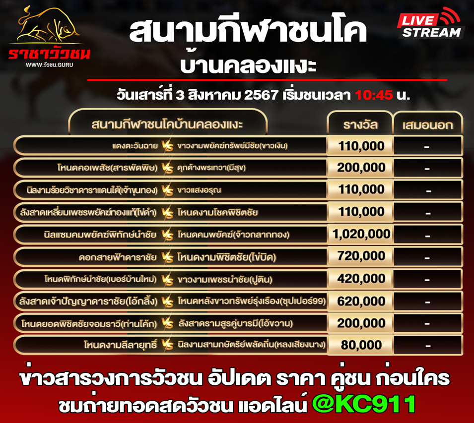 โปรแกรมวัวชน 03-8-2567