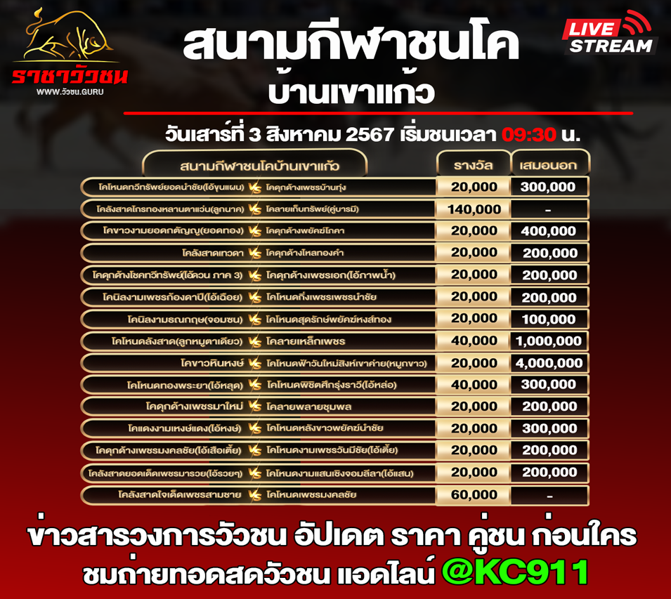 โปรแกรมวัวชน 3-8-2567