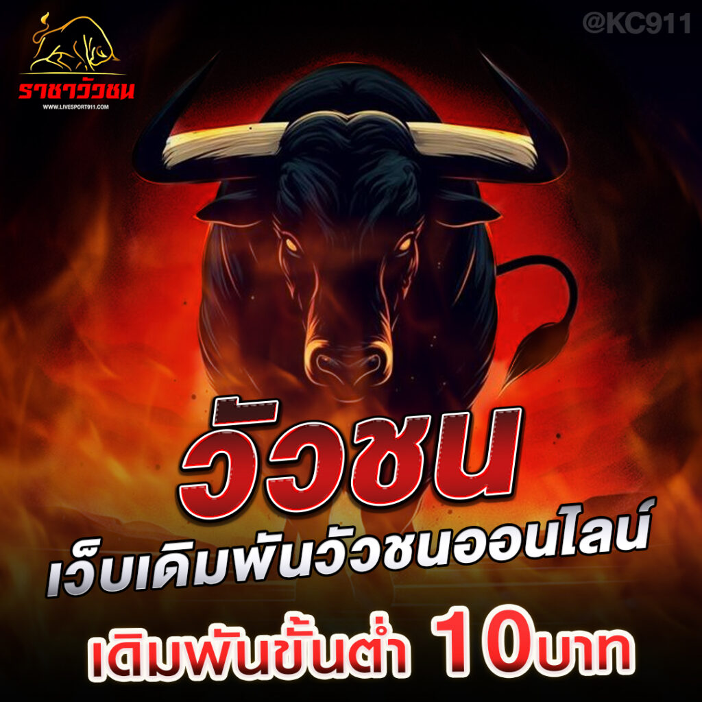 วัวชนออนไลน์ 14-8-2567