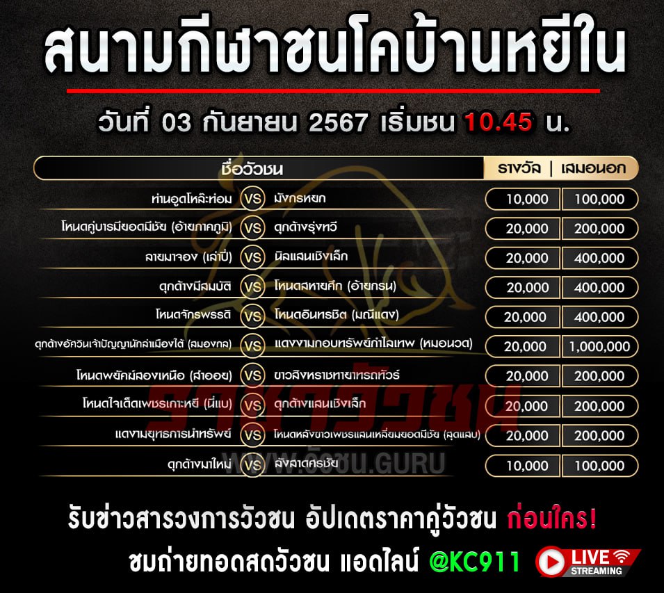 โปรแกรมวัวชน 3-9-2567