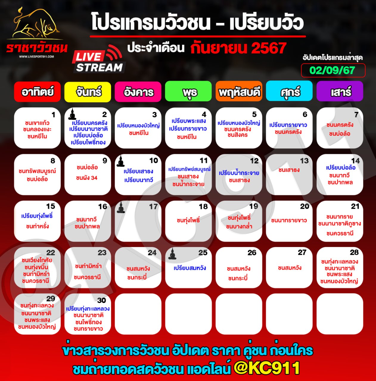 โปรแกรมวัวชน