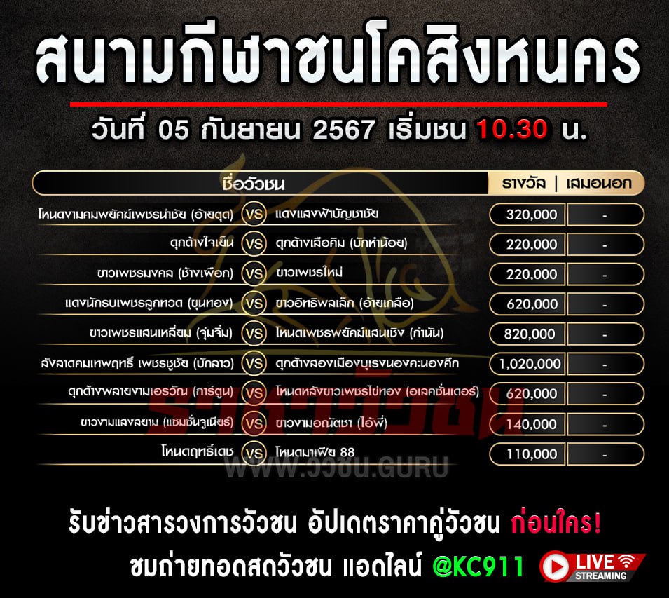 โปรแกรมวัวชน 5-9-2567