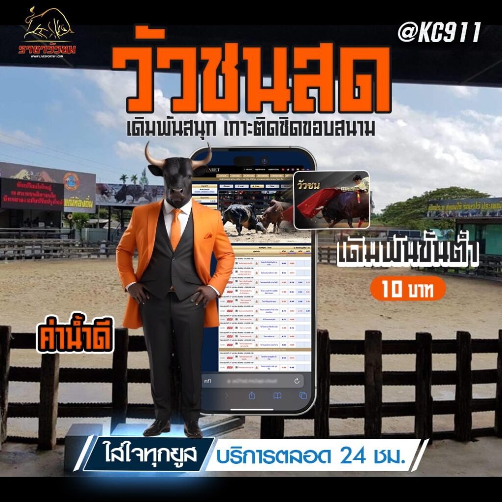 วัวชนออนไลน์ 4-9-2567