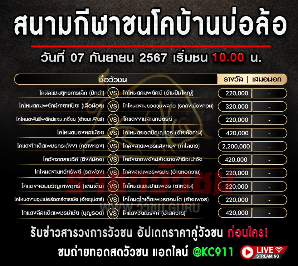 โปรแกรมวัวชน 7-9-2567