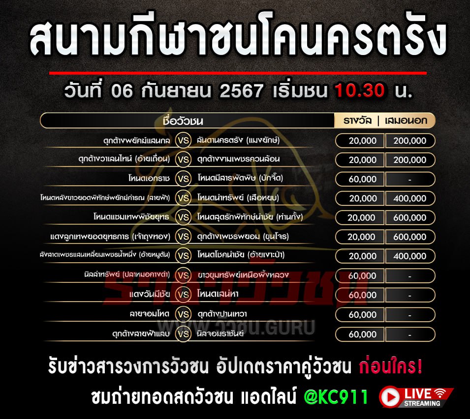 โปรแกรมวัวชน 6-9-2567