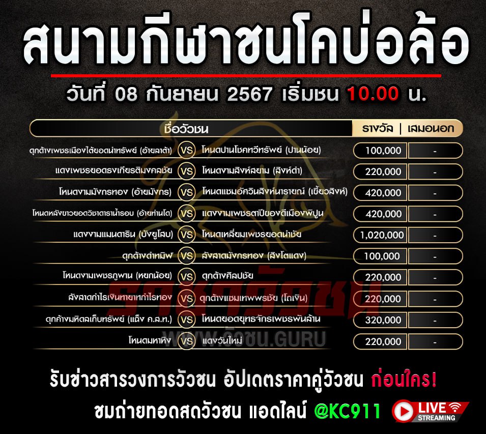 วัวชนออนไลน์ 8-9-2567