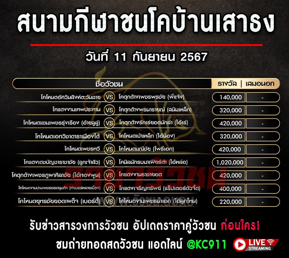 โปรแกรมวัวชน 11-9-2567