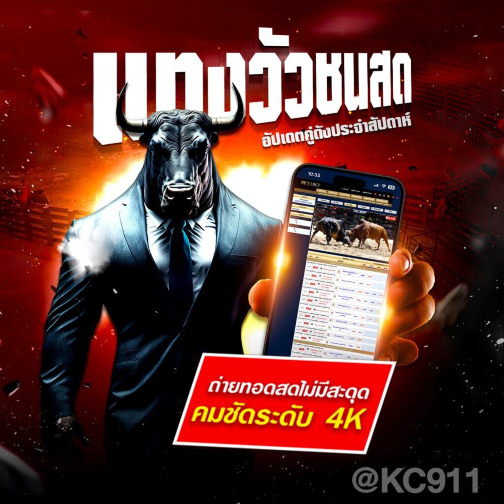 วัวชนออนไลน์ 10-9-2567