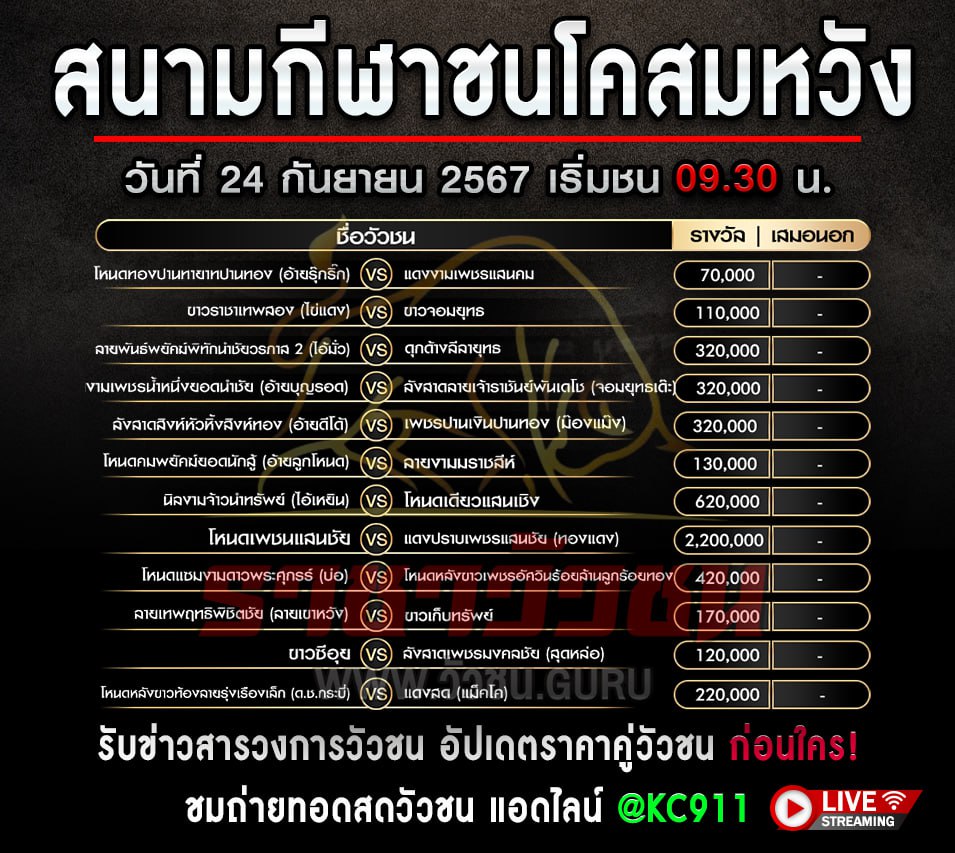 โปรแกรมวัวชน 24-9-2567