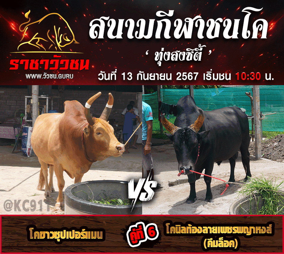 โปรแกรมวัวชน 13-9-2567