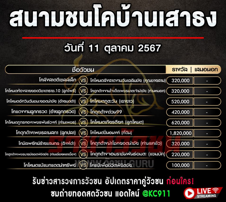 โปรแกรมวัวชน 11-10-2567