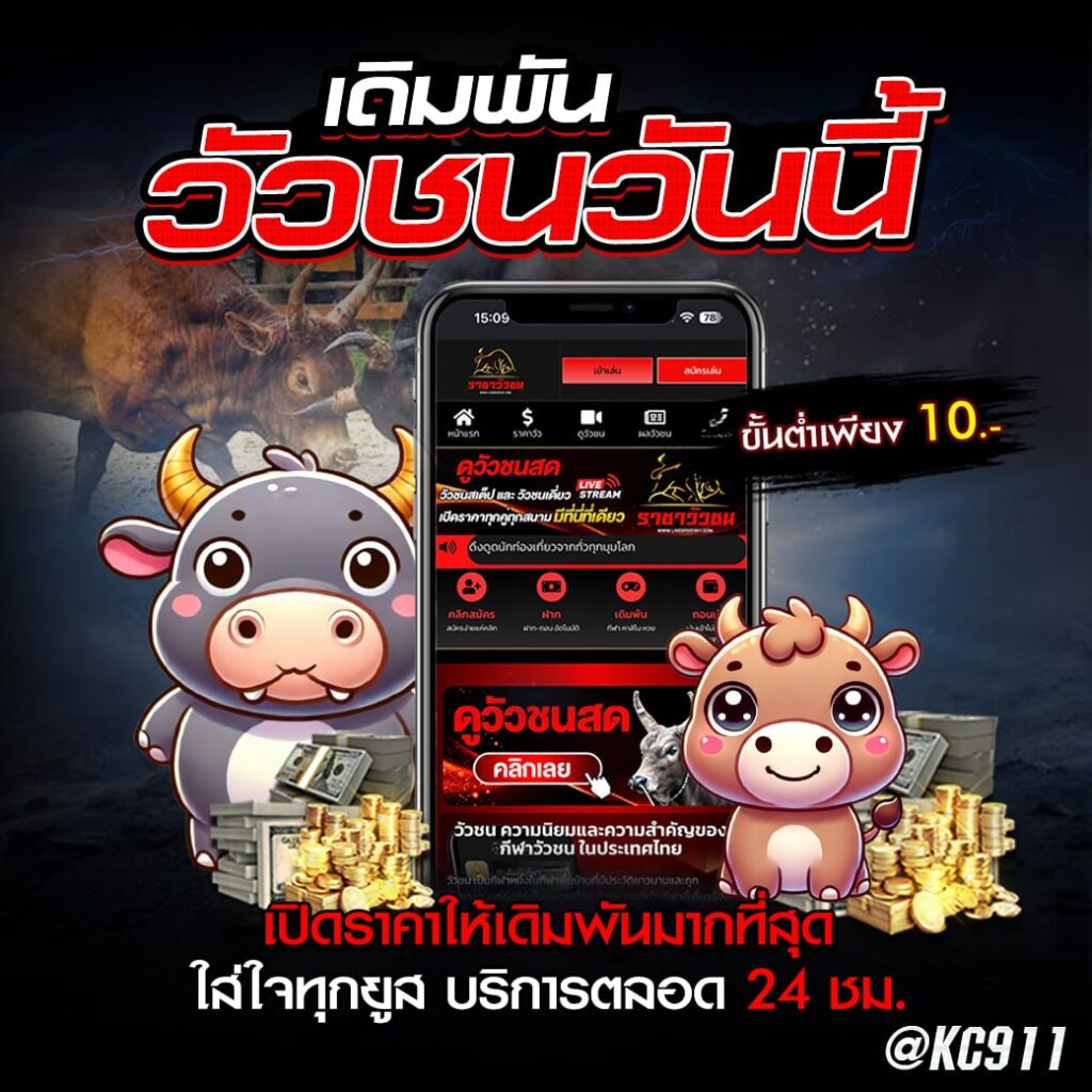 วัวชนออนไลน์ 10-10-2567