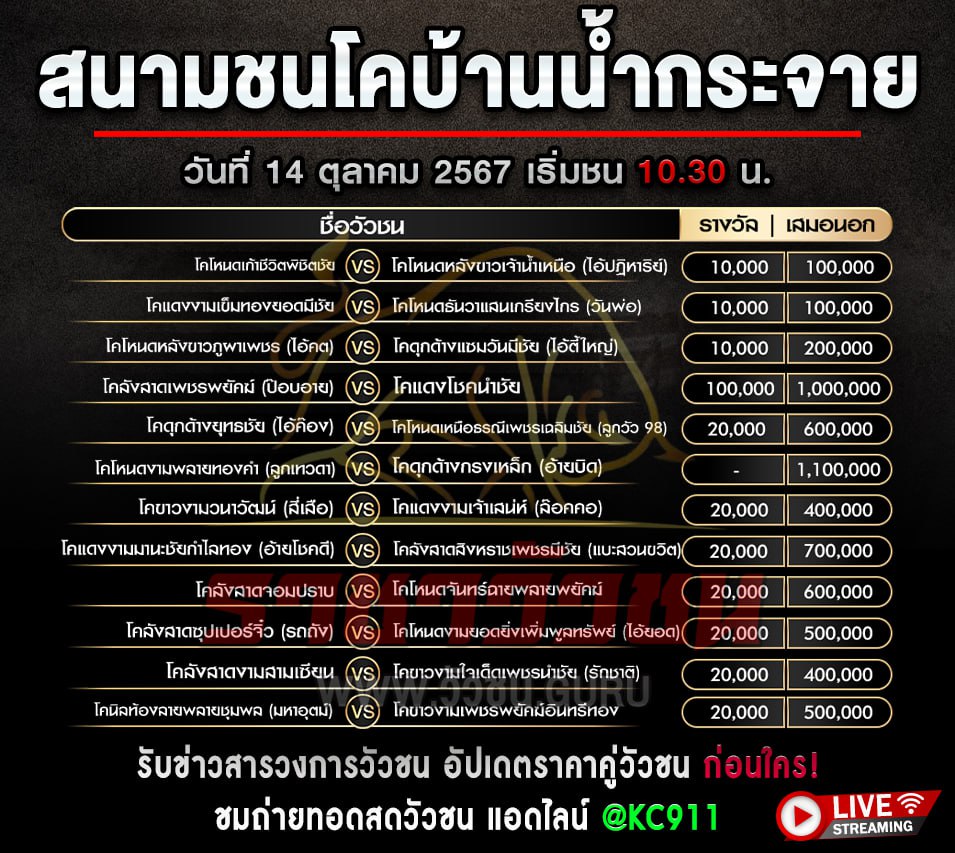 โปรแกรมวัวชน 14-10-2567