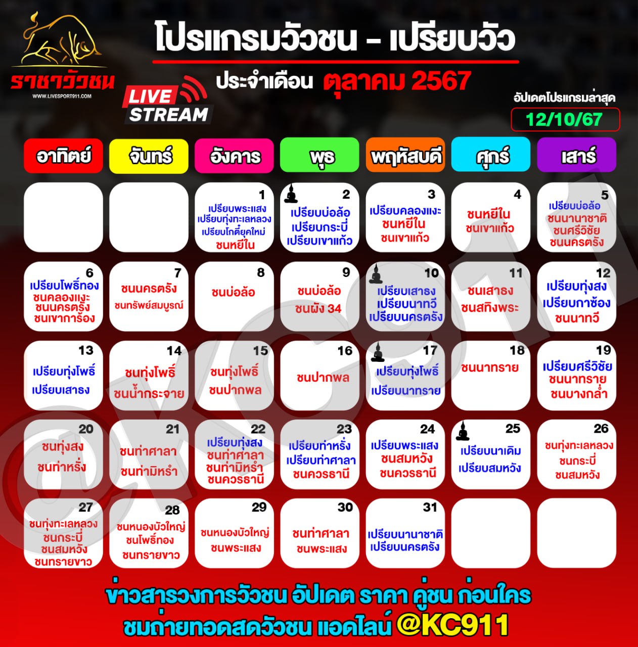 โปรแกรมวัวชน